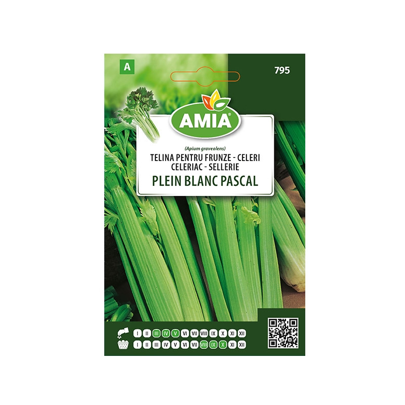 Seminte legume Amia A, telina frunze Blanc Pascal