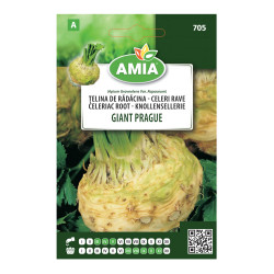 Seminte legume Amia A, telina radacina Giant Prague
