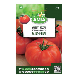 Seminte legume Amia A tomate Saint- Pierre