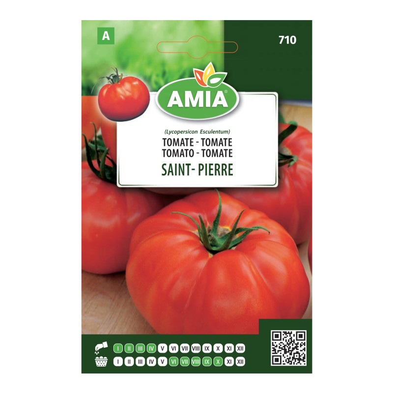 Seminte legume Amia A tomate Saint- Pierre