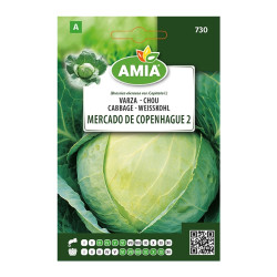 Seminte legume Amia A, varza Mercado De Copenhague 2