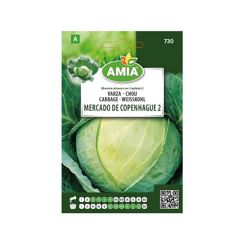 Seminte legume Amia A, varza Mercado De Copenhague 2