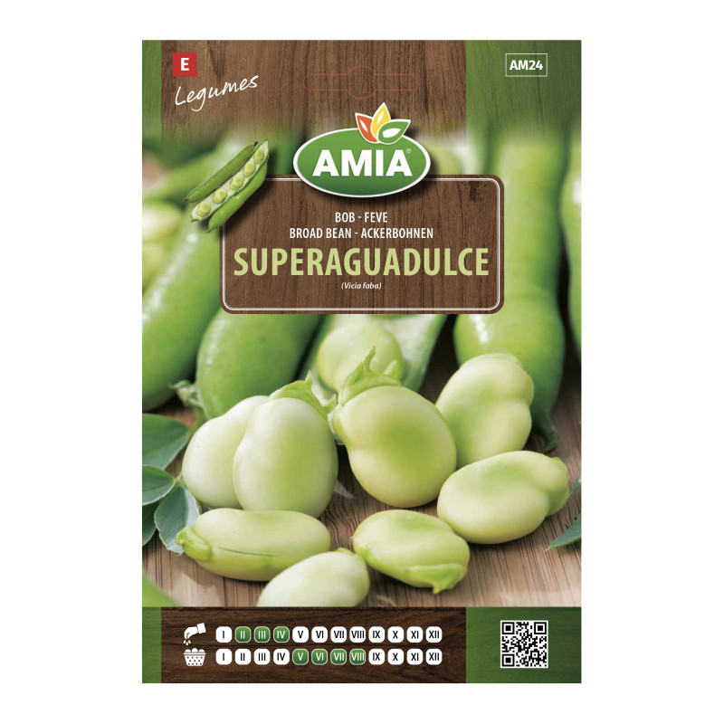 Seminte legume Amia, bob Super Aguadulce