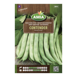 Seminte legume Amia, fasole Contender