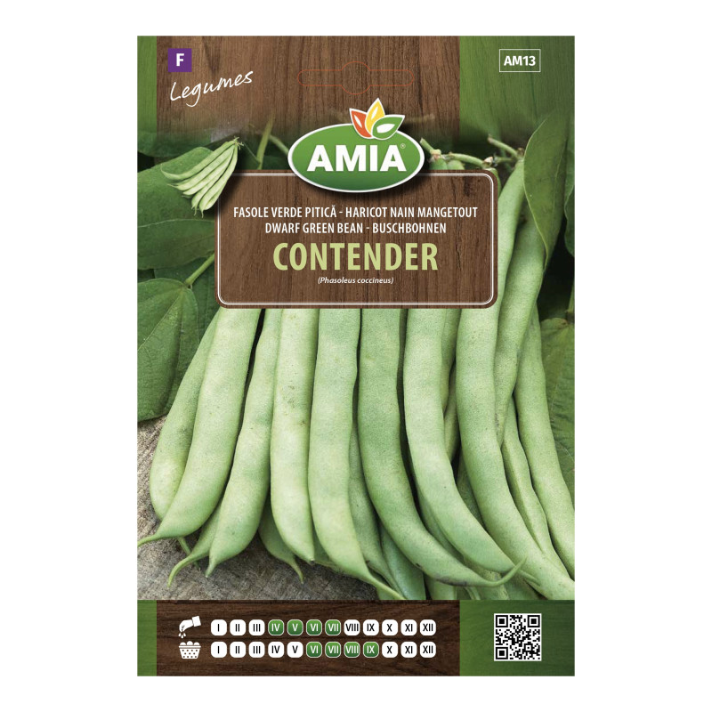 Seminte legume Amia, fasole Contender