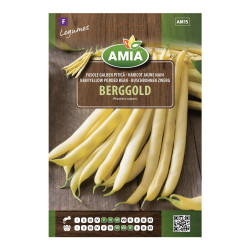 Seminte legume Amia, fasole galbena, pitica, Berggold