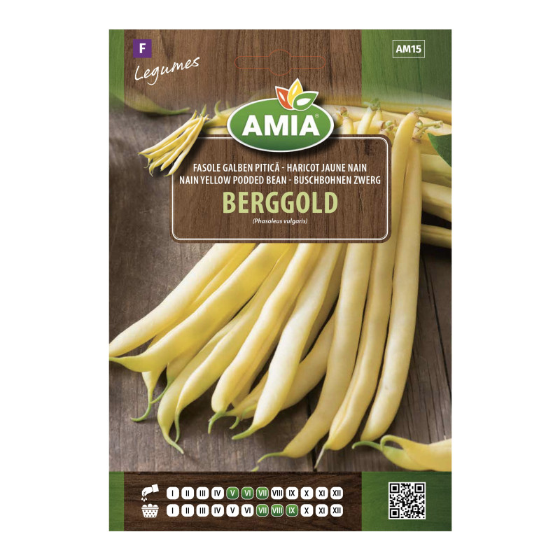 Seminte legume Amia, fasole galbena, pitica, Berggold