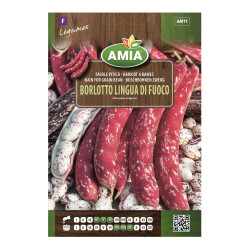 Seminte legume Amia, fasole pitica Borlotto Lingua Di Fuoco