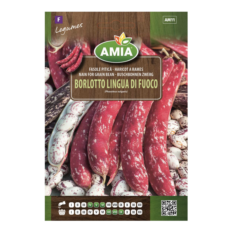 Seminte legume Amia, fasole pitica Borlotto Lingua Di Fuoco