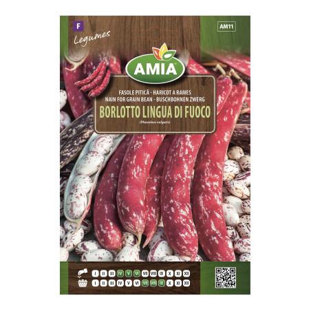 Seminte legume Amia, fasole pitica Borlotto Lingua Di Fuoco