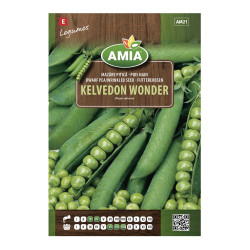 Seminte legume Amia, mazare Kelvedon Wonder