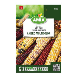 Seminte legume Amia, porumb Amero Multicolor