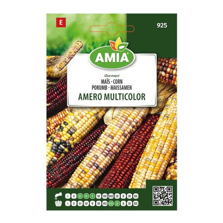 Seminte legume Amia, porumb Amero Multicolor
