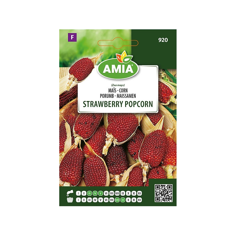Seminte legume Amia, porumb Strawberry