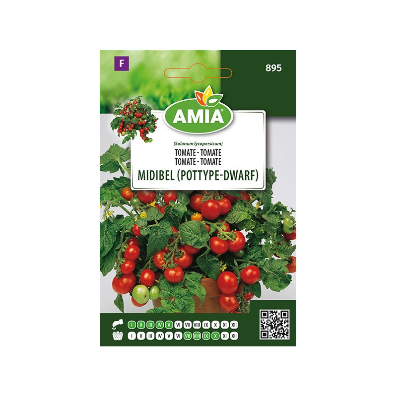 Seminte legume Amia, tomate Midibel Pottype Dwarf