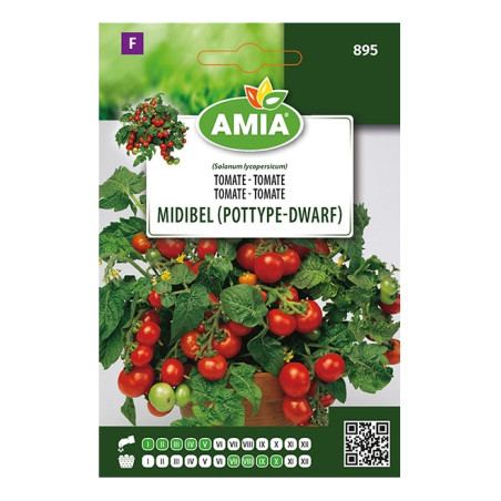 Seminte legume Amia, tomate Midibel Pottype Dwarf