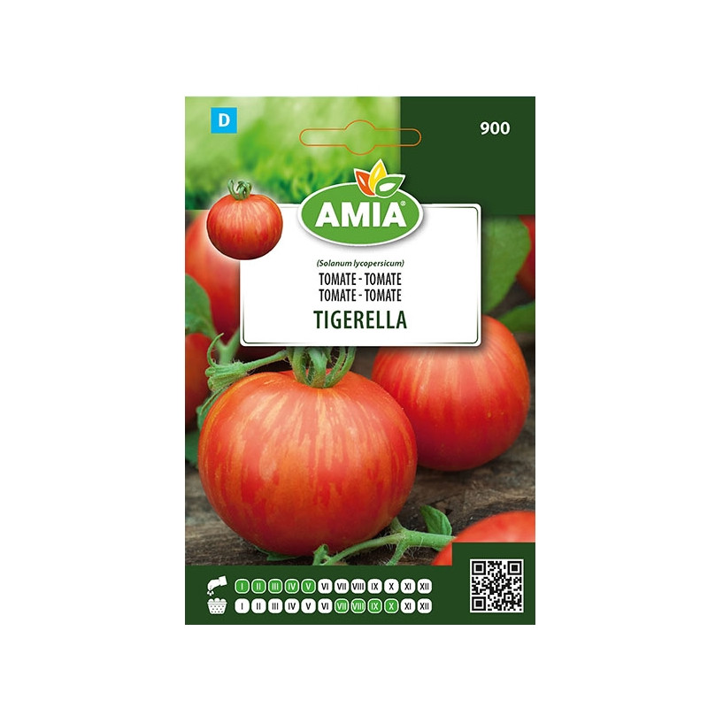 Seminte legume Amia tomate Tigerella