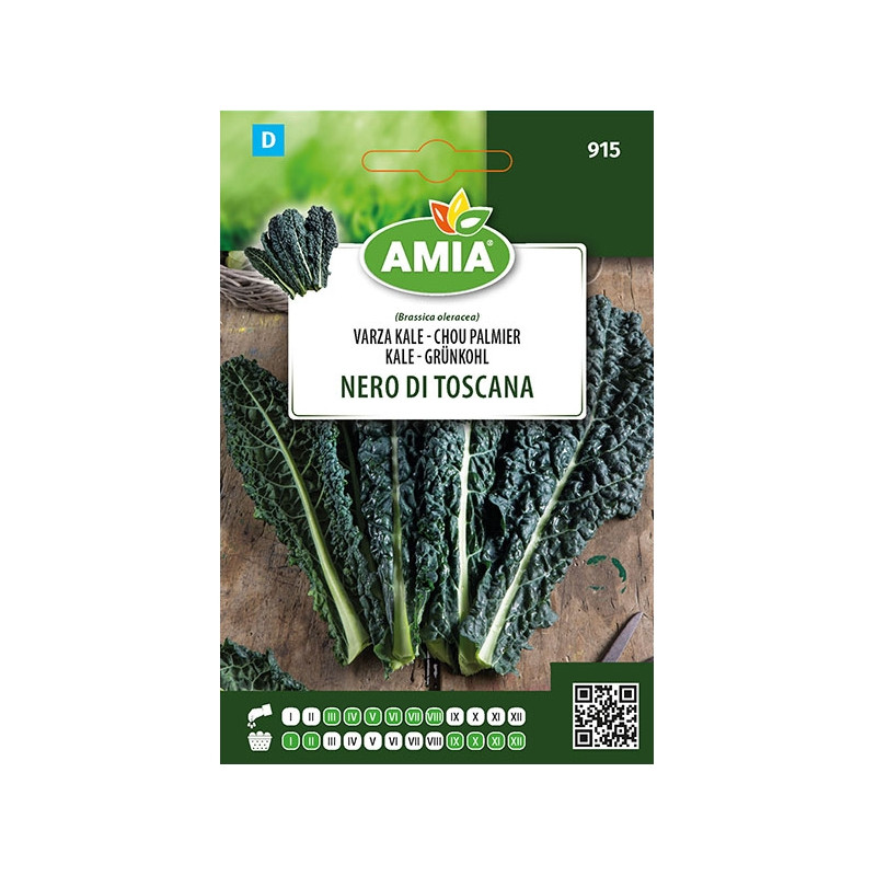 Seminte legume Amia, varza kale Nero Di Toscana