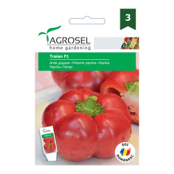 Seminte legume ardei gogosar Traian F1 AS-PG3