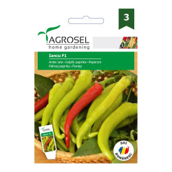 Seminte legume ardei iute Iancu F1 AS-PG3