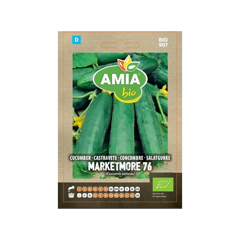 Seminte legume bio Amia, castravete Marketmore 76