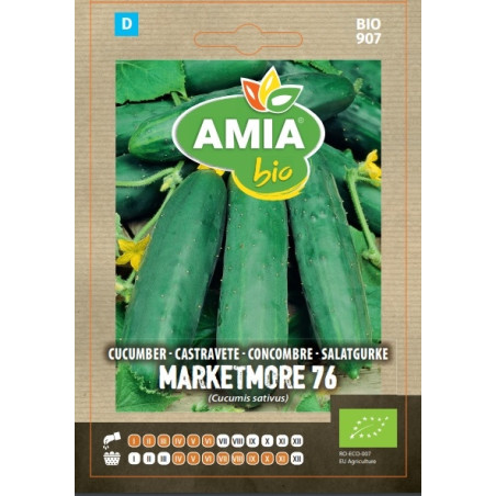 Seminte legume bio Amia, castravete Marketmore 76