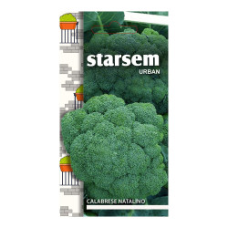 Seminte legume brocoli Calabrese Natalino STLG