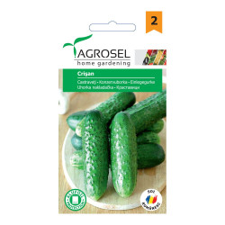 Seminte legume castraveti Crisan AS-PG2