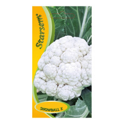 Seminte legume conopida Snowball X ST-LG
