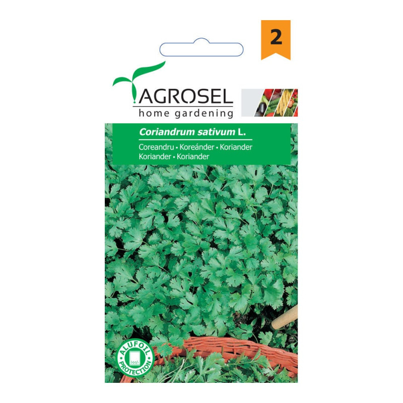 Seminte legume coriandru AS-PG2