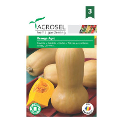 Seminte legume dovleac placintar Orange agro AS