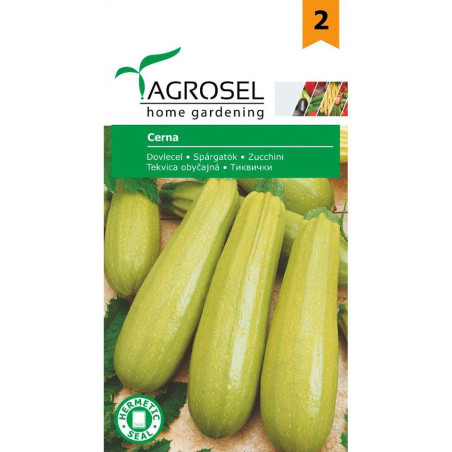 Seminte legume dovlecel Cerna AS-PG2