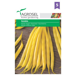Seminte legume fasole Sondela AS-PG5, Agrosel
