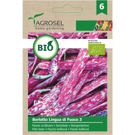 Seminte legume fasole urcatoare Borlotto, AS-PG6-ECO, Agrosel