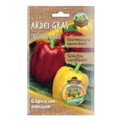 Seminte legume Micul Gradinar, ardei gras California Wonder