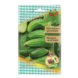 Seminte legume Micul Gradinar, castraveti Corveta F1