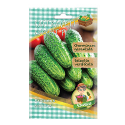 Seminte legume Micul Gradinar, castraveti Everest F1