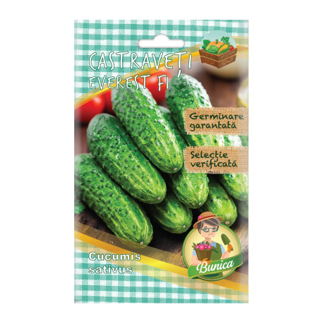 Seminte legume Micul Gradinar, castraveti Everest F1