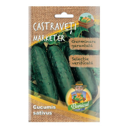 Seminte legume Micul Gradinar, castraveti Marketer