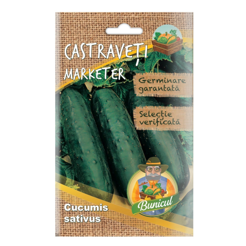 Seminte legume Micul Gradinar, castraveti Marketer
