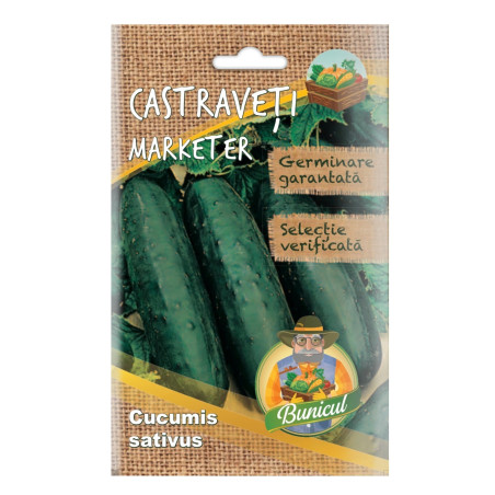 Seminte legume Micul Gradinar, castraveti Marketer