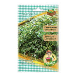 Seminte legume Micul Gradinar, cimbru Commun