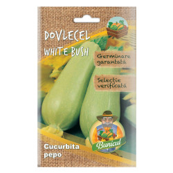 Seminte legume Micul Gradinar, dovlecel White Bush