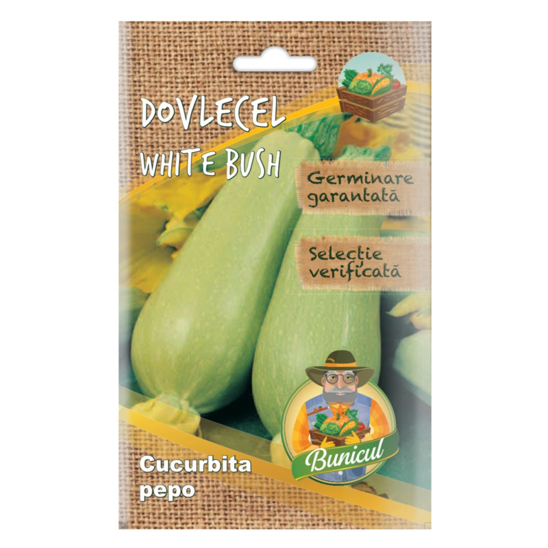 Seminte legume Micul Gradinar, dovlecel White Bush