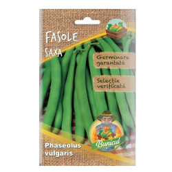 Seminte legume Micul Gradinar, fasole Saxa
