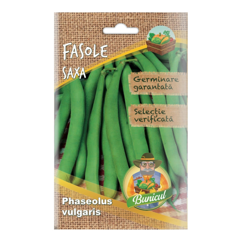 Seminte legume Micul Gradinar, fasole Saxa