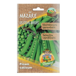 Seminte legume Micul Gradinar, mazare Kelvedon
