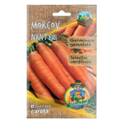 Seminte legume Micul Gradinar, morcov Nantez