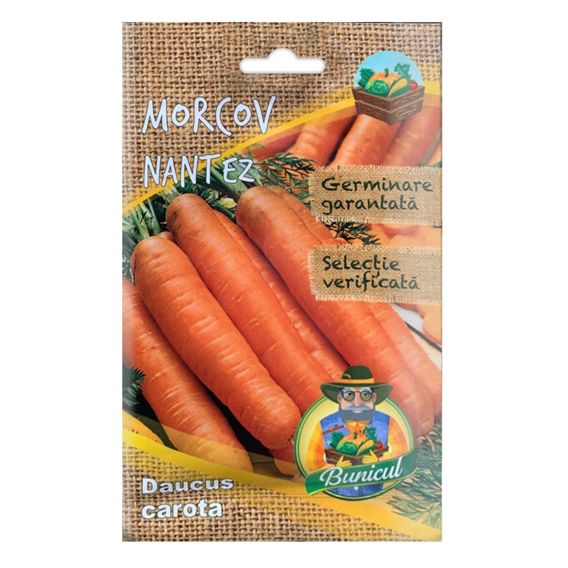 Seminte legume Micul Gradinar, morcov Nantez