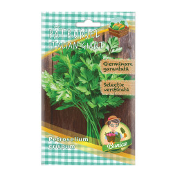 Seminte legume Micul Gradinar, patrunjel frunze Italian Giant